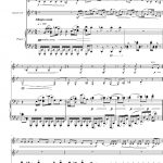 partituurvoorbeeld trio voor viool, klarinet, piano deel 1